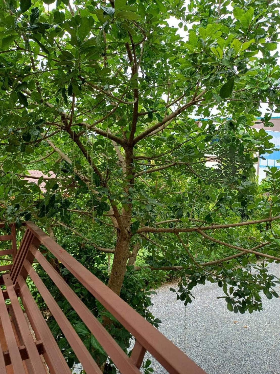 Wang Jai Kwang Space Inn Chongsadao Exterior photo