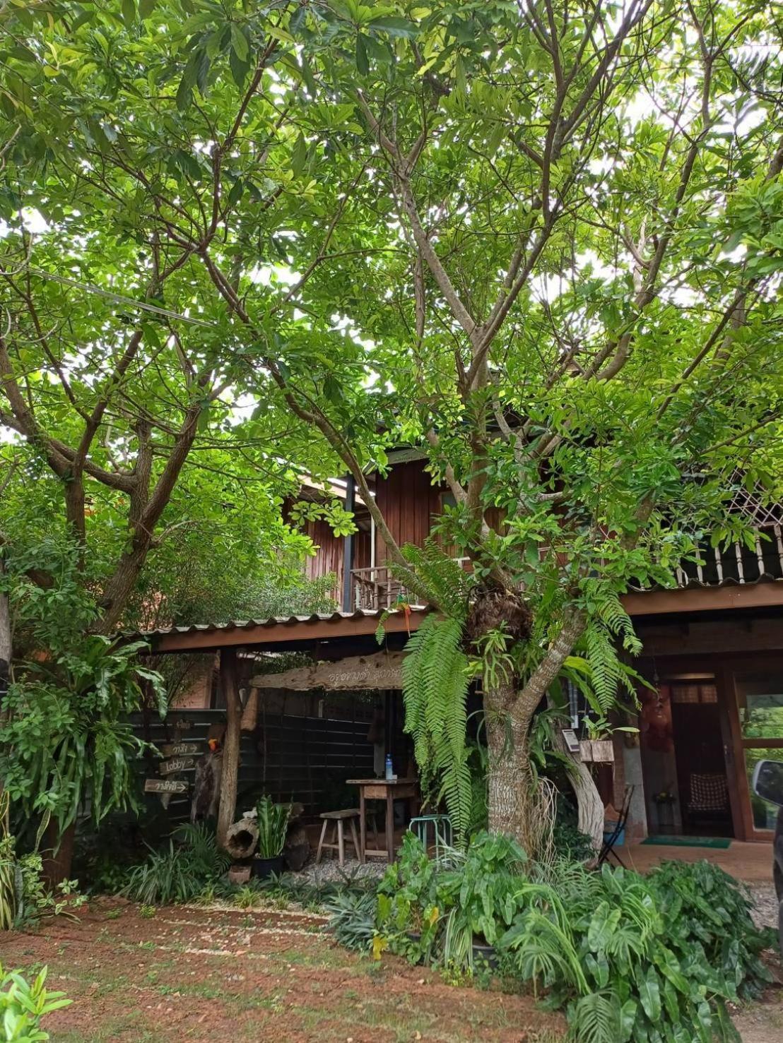 Wang Jai Kwang Space Inn Chongsadao Exterior photo